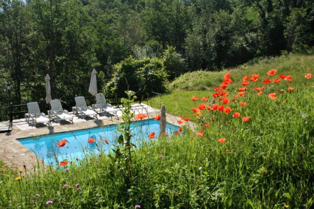 Casa Domenica - Home&More Monastero Bormida Luaran gambar